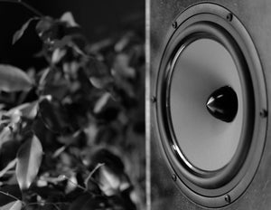 Arke Audio will be selling direct to you