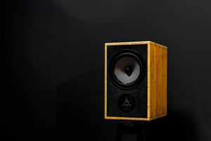 The Solos speaker