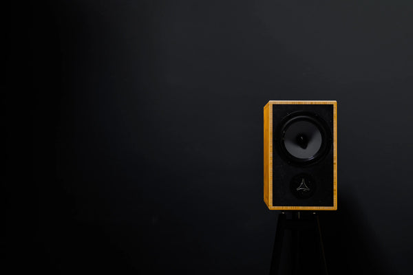 The Solos speaker