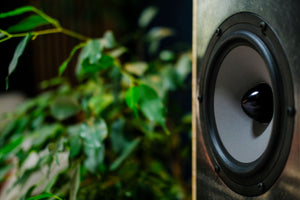Arke Audio Speaker with blurred green leaves in the background